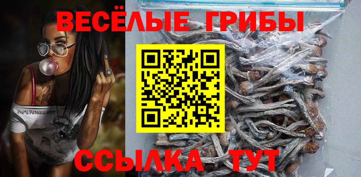 Галлюциногенные грибы Cubensis  Галлюциногенные грибы Psilocybe  продажа наркотиков  Чебоксары  Вход с VPN 