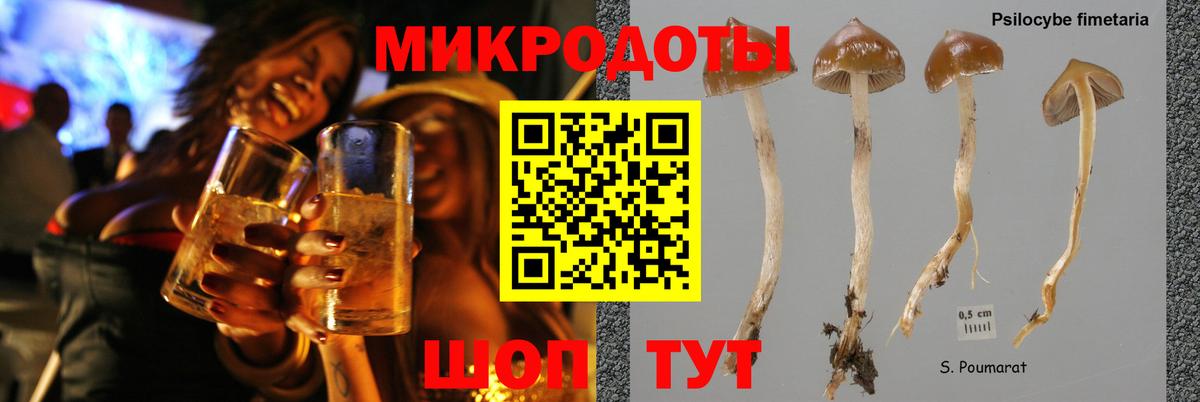 Псилоцибиновые грибы MAGIC MUSHROOMS Чебоксары